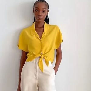 Aritzia Wilfred Tie Front Blouse